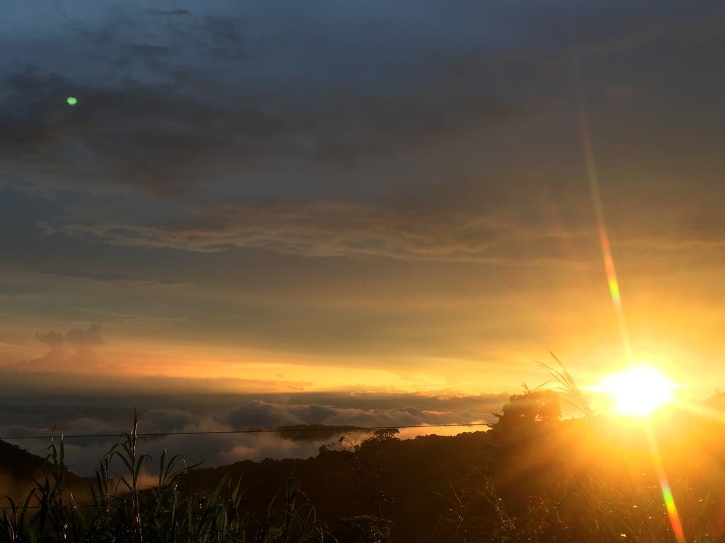 Bella Vista * Monteverde